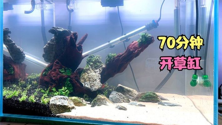 無錫市寧鑫動物園（無錫市寧鑫動物園地址）