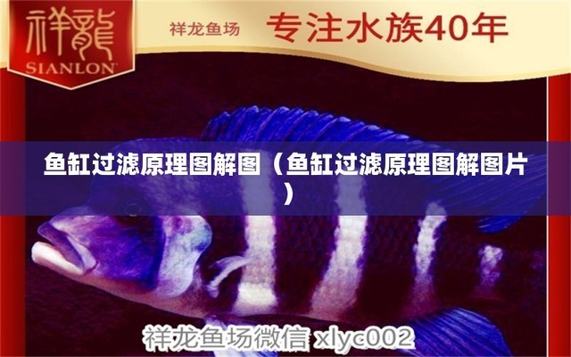 上海深喜企業（集團）有限公司常州分公司（深喜集團老總）