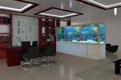 辦公室門口放魚缸好嗎：辦公室門口應(yīng)該放魚缸嗎？