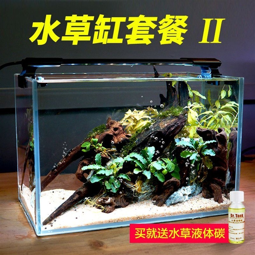 粗陶魚缸造景圖：\"粗陶魚缸造景圖\" 粗陶魚缸造景圖：\"粗陶魚缸造景圖\" 魚缸百科 第3張
