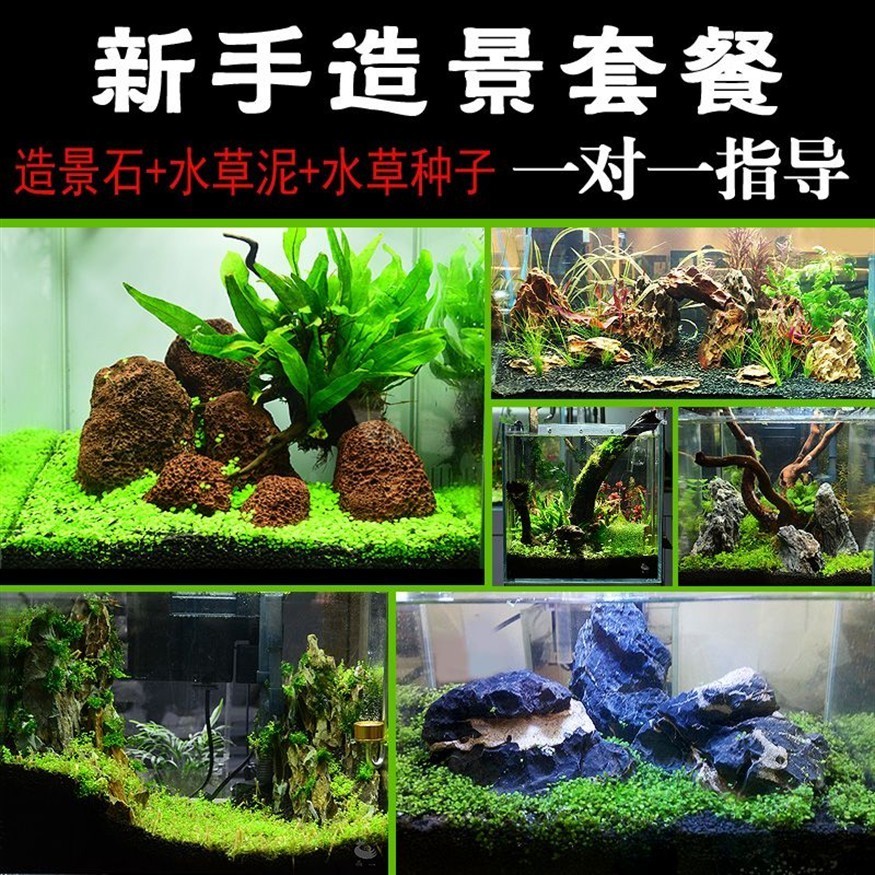 粗陶魚缸造景圖：\"粗陶魚缸造景圖\" 粗陶魚缸造景圖：\"粗陶魚缸造景圖\" 魚缸百科 第4張