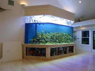 玻璃魚缸的壽命：如何延長玻璃魚缸的壽命 玻璃魚缸的壽命：如何延長玻璃魚缸的壽命 魚缸百科 第3張