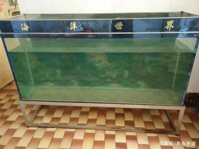 從老魚缸怎么將魚移至新魚缸：如何將魚從老魚缸移至新魚缸