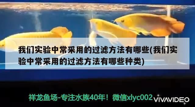魚缸過濾器選購指南:自制魚缸過濾器魚缸上置過濾器對于養魚愛好者的必備知識 我們實驗中常采用的過濾方法有哪些(我們實驗中常采用的過濾方法有哪些種類) 豬鼻龜百科 我們實驗中常采用的過濾方法有哪些(我們實驗中常采用的過濾方法有哪些種類) 我們實驗中常采用的過濾方法有哪些(我們實驗中常采用的過濾方法有哪些種類) 豬鼻龜百科