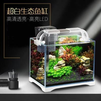 超白魚缸和熱彎魚缸哪個(gè)好養(yǎng)：超白魚缸與熱彎魚缸的區(qū)別 超白魚缸和熱彎魚缸哪個(gè)好養(yǎng)：超白魚缸與熱彎魚缸的區(qū)別 魚缸百科 第3張