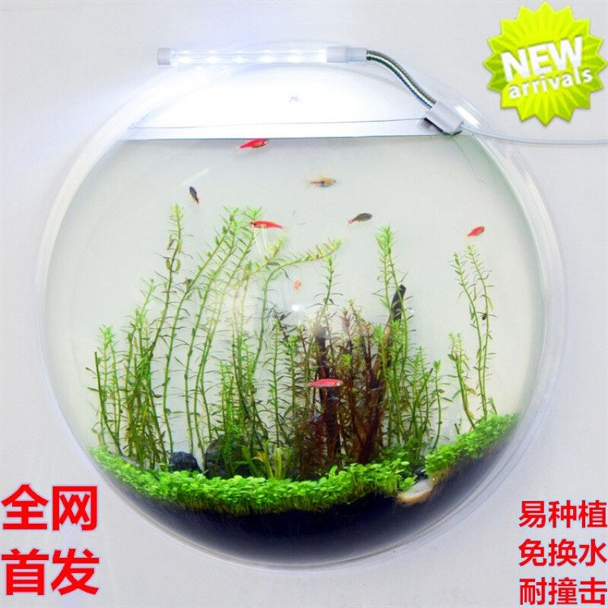 150魚缸養什么魚：150升的魚缸養什么魚