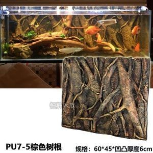 1米2的魚缸標準尺寸 1米2的魚缸標準尺寸 魚缸百科 第2張