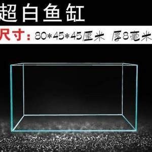 1米2的魚缸標準尺寸 1米2的魚缸標準尺寸 魚缸百科 第3張