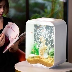 斗魚缸適合放什么裝飾：diy創意魚缸裝飾教程和diy創意魚缸裝飾教程