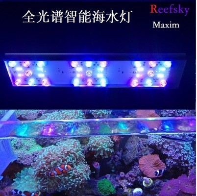 紅龍魚幾年成年可以繁殖（紅龍魚幾年成年可以繁殖嗎）