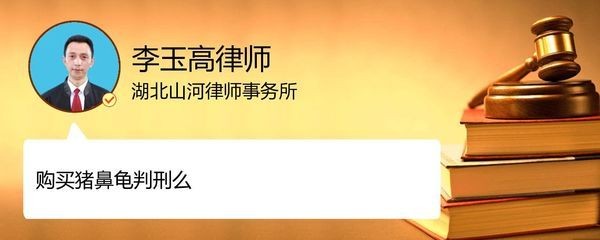 買(mǎi)豬鼻龜判刑：買(mǎi)賣(mài)豬鼻龜判刑么