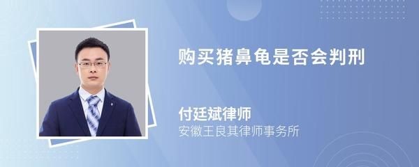買(mǎi)豬鼻龜判刑：買(mǎi)賣(mài)豬鼻龜判刑么