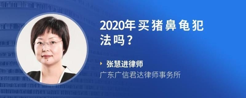 買(mǎi)豬鼻龜判刑：買(mǎi)賣(mài)豬鼻龜判刑么
