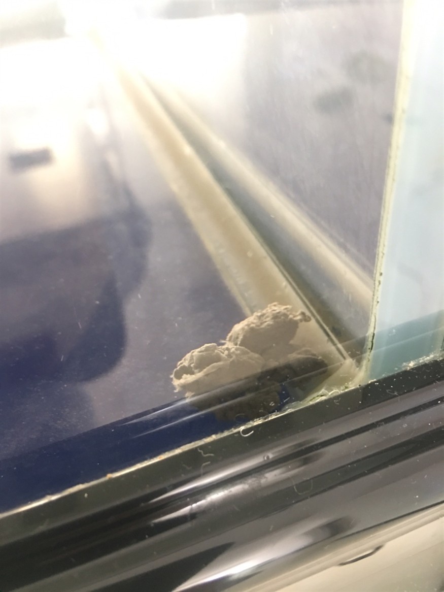 請教下懂豬鼻龜的朋友