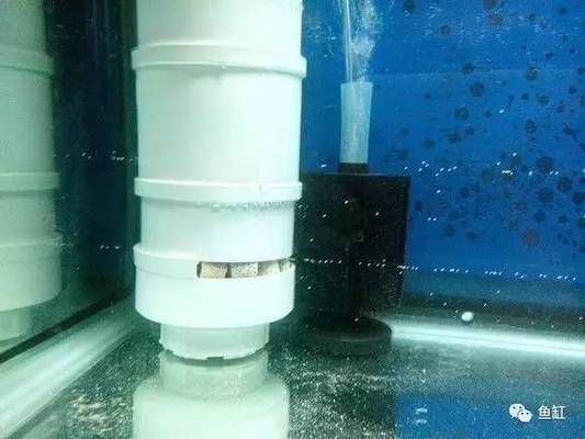 leo魚缸過濾改裝：魚缸過濾系統(tǒng)升級了解魚缸過濾系統(tǒng)升級方法