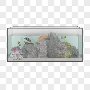 玻璃管魚缸視頻：玻璃管魚缸制作過程、創(chuàng)意設(shè)計以及日常維護等方面的內(nèi)容