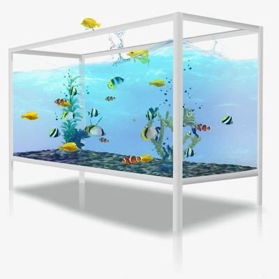 玻璃管魚缸視頻：玻璃管魚缸制作過程、創(chuàng)意設(shè)計以及日常維護等方面的內(nèi)容