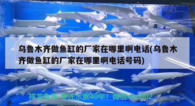 烏魯木齊做魚缸的廠家在哪里啊電話(烏魯木齊做魚缸的廠家在哪里啊電話號碼)