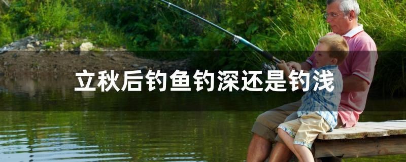 立秋后釣魚釣深還是釣淺