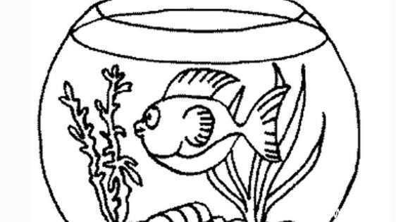 龍魚和虎魚混養視頻大全集最新（龍魚和虎魚混養視頻大全集最新版）
