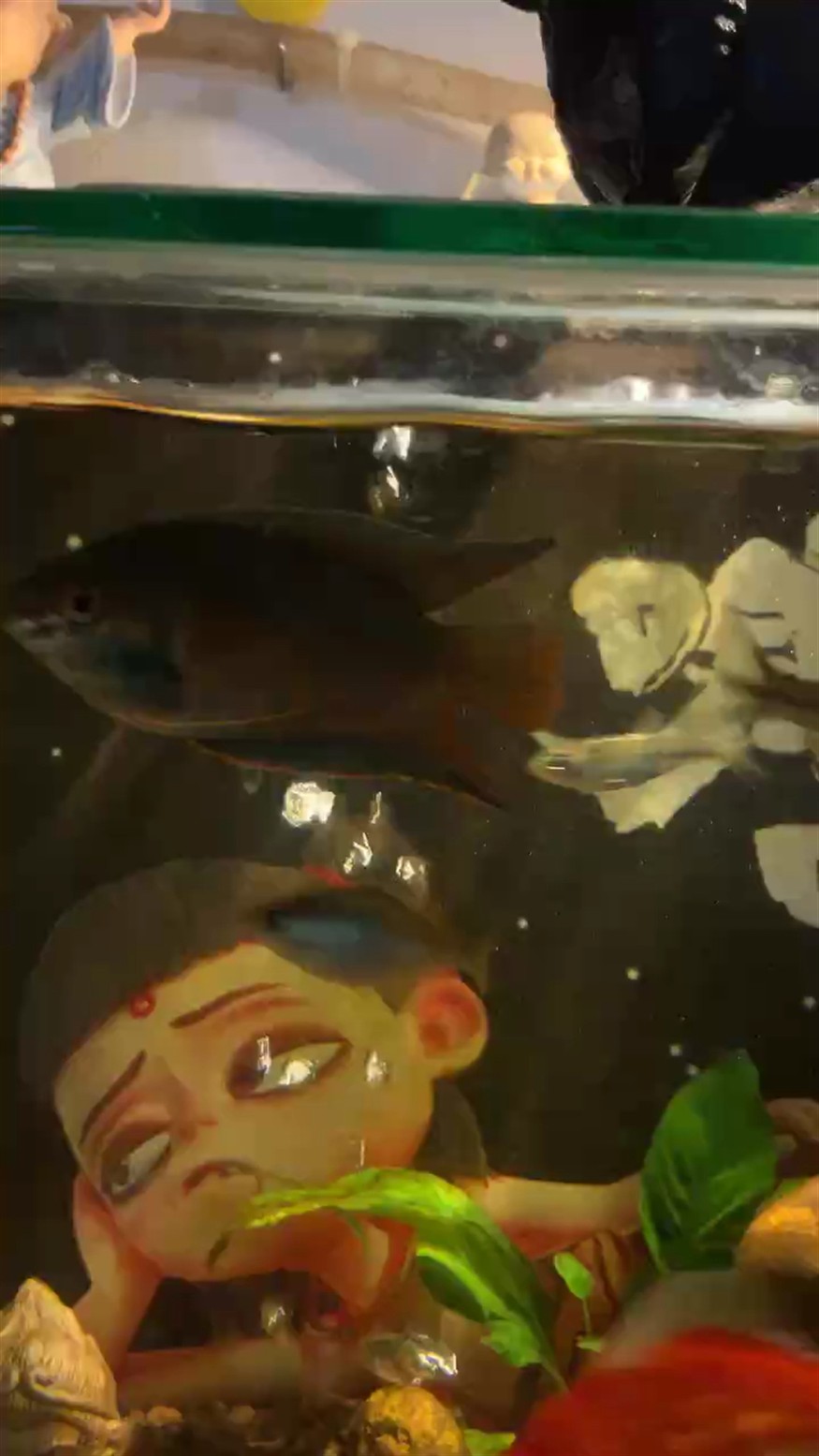 國斗？