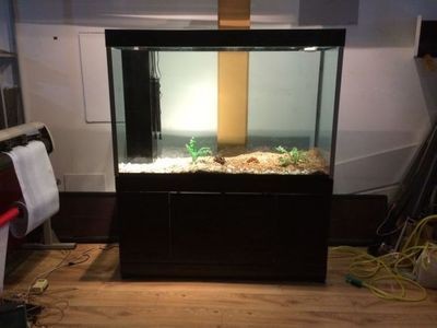 大型魚缸去哪里買好呢：購買大型魚缸時應考慮多個因素及品牌和服務的評估