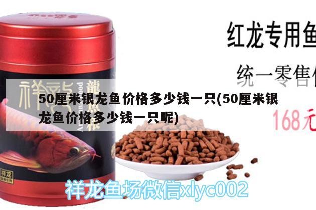 50厘米銀龍魚價格多少錢一只(50厘米銀龍魚價格多少錢一只呢)