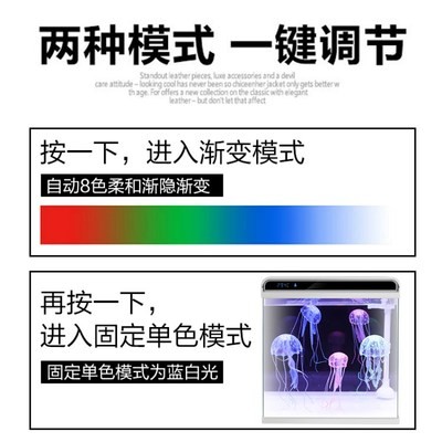 龍魚虎魚混養用什么底色最好呢（虎魚龍魚魚缸貼什么顏色壁紙）