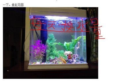 大魚缸無法困水怎么換水：大魚缸換水的正確方法