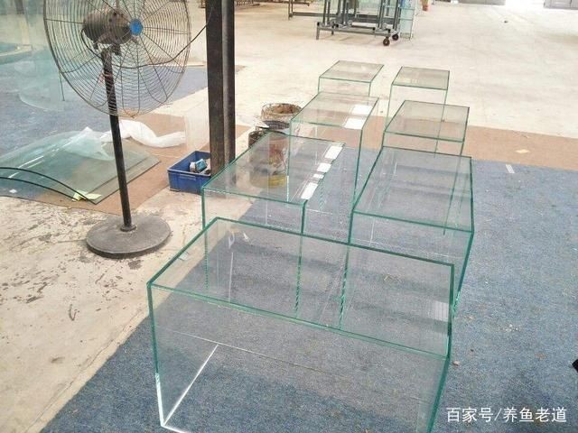 10毫米玻璃最大能做多大魚缸用：10毫米玻璃最大能做多大魚缸