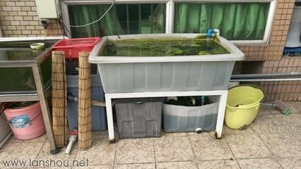鍍鋅方管魚缸架子：使用鍍鋅方管制作魚缸架子需要注意以下幾點