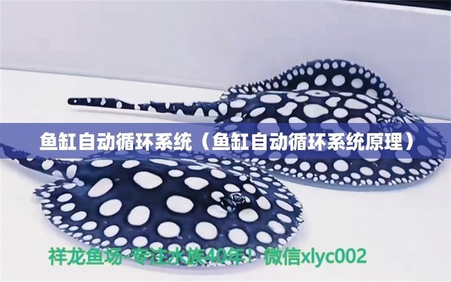 黑龍江大發(fā)國際貿(mào)易有限公司可鑫水族館（黑龍江大發(fā)國際集團）