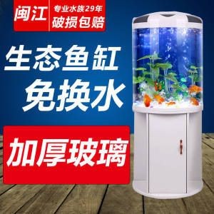 半圓魚缸造景攻略:半圓魚缸造景的基本步驟