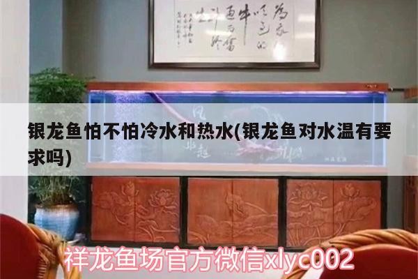 金龍魚 銀龍魚怕不怕冷水和熱水(銀龍魚對水溫有要求嗎) 銀龍魚百科 銀龍魚怕不怕冷水和熱水(銀龍魚對水溫有要求嗎) 銀龍魚怕不怕冷水和熱水(銀龍魚對水溫有要求嗎) 銀龍魚百科