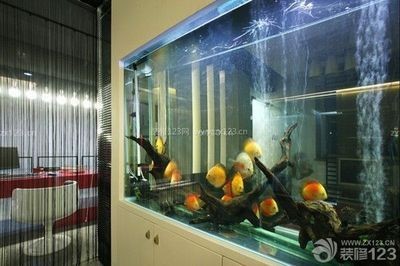 玻璃魚缸養魚老是死魚：養魚過程中魚兒頻繁死亡可能是由于多種原因導致的
