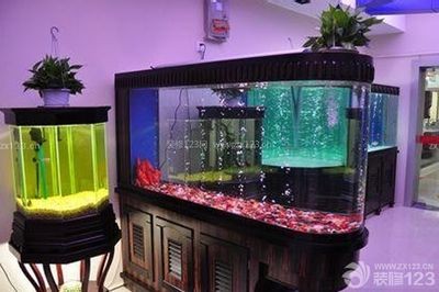 超白玻璃魚缸和浮法玻璃魚缸哪個好用：超白玻璃魚缸和浮法玻璃魚缸的優缺點