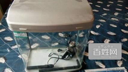 崇州哪里有賣魚缸的地方啊多少錢：崇州地區售賣魚缸的相關信息 崇州哪里有賣魚缸的地方啊多少錢：崇州地區售賣魚缸的相關信息 魚缸百科 第2張
