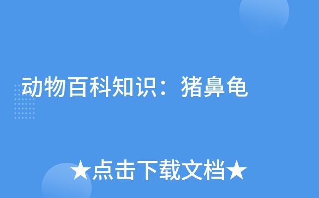 豬鼻龜為什么那么貴？：豬鼻龜為什么那么貴 豬鼻龜為什么那么貴？：豬鼻龜為什么那么貴 豬鼻龜百科 第8張