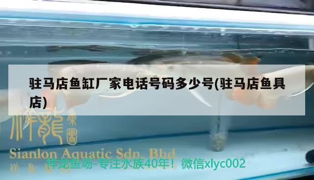 駐馬店魚(yú)缸廠家電話號(hào)碼多少號(hào)(駐馬店魚(yú)具店)