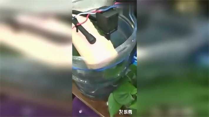 不想要魚缸怎么處理：不想要的魚缸可以根據個人喜好和需求進行多種處理
