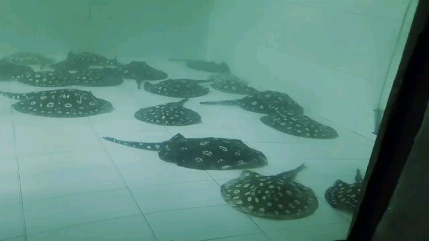 檢疫第三天