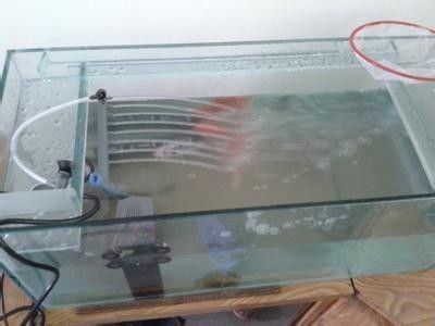 半圓魚缸過濾安裝：半圓魚缸過濾器安裝方法