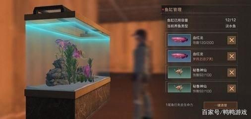紅龍魚是海魚嗎還是河魚：紅龍魚是一種淡水魚而不是海魚而不是海魚，而不是海魚