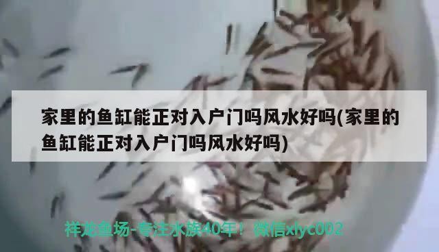 中國益生菌十大品牌(中國益生菌十大品牌排名) 中國益生菌十大品牌(中國益生菌十大品牌排名) 豬鼻龜百科 第1張