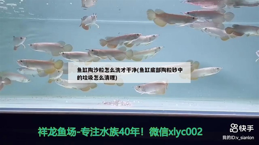 中國益生菌十大品牌(中國益生菌十大品牌排名) 中國益生菌十大品牌(中國益生菌十大品牌排名) 豬鼻龜百科 第2張