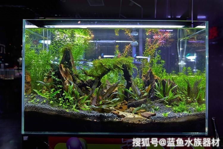 大魚缸怎么制作:大型魚缸制作技藝
