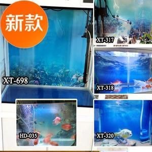 白色背景魚缸適合養什么魚：白色背景的魚缸適合養什么樣的魚？