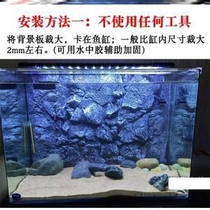白色背景魚缸適合養什么魚：白色背景的魚缸適合養什么樣的魚？