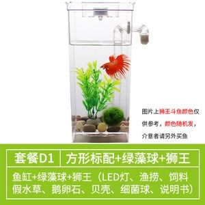 半月斗魚魚缸要多大 魚缸百科 第4張 半月斗魚魚缸要多大 半月斗魚魚缸要多大 魚缸百科 第4張