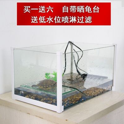 玻璃魚缸如何改烏龜缸視頻：烏龜養殖注意事項，玻璃魚缸改造技巧和步驟和技巧